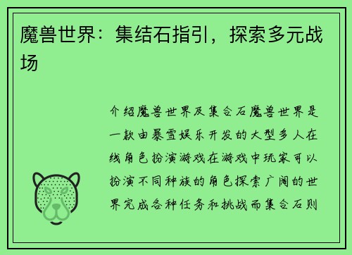魔兽世界：集结石指引，探索多元战场